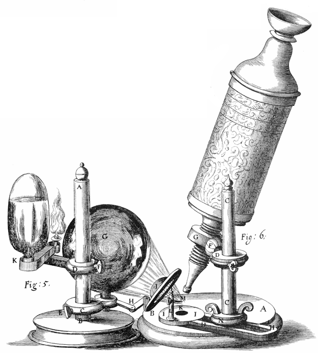 ein von Robert Hooke gebautes Lichtmikroskop