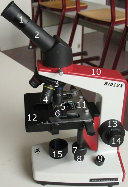 Schulmikroskop