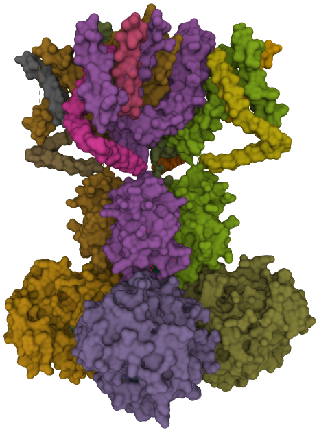 spannungsabhängiger Kalium-Kanal 2A79 aus der Protein Data Bank